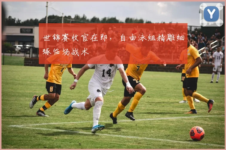 世锦赛收官在即，自由泳组精雕细琢临场战术