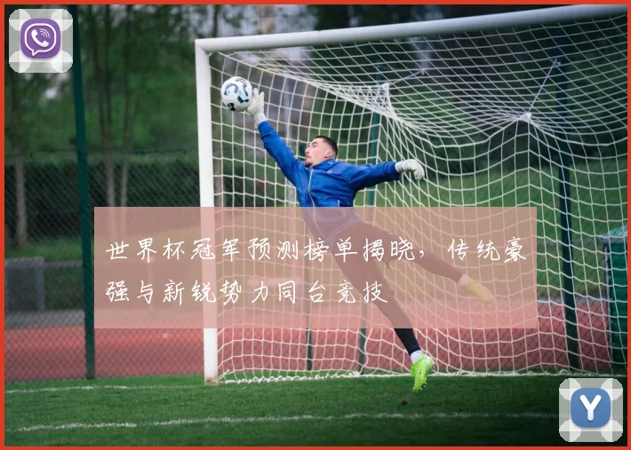 世界杯冠军预测榜单揭晓,传统豪强与新锐势力同台竞技