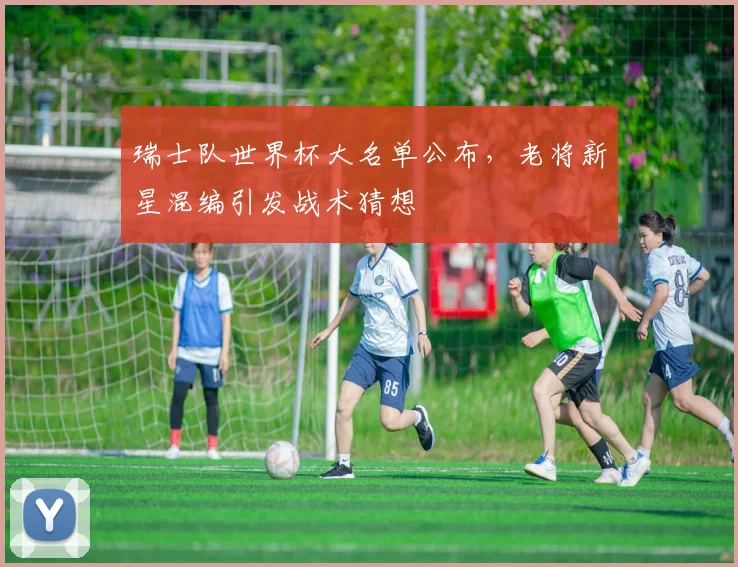 瑞士队世界杯大名单公布,老将新星混编引发战术猜想